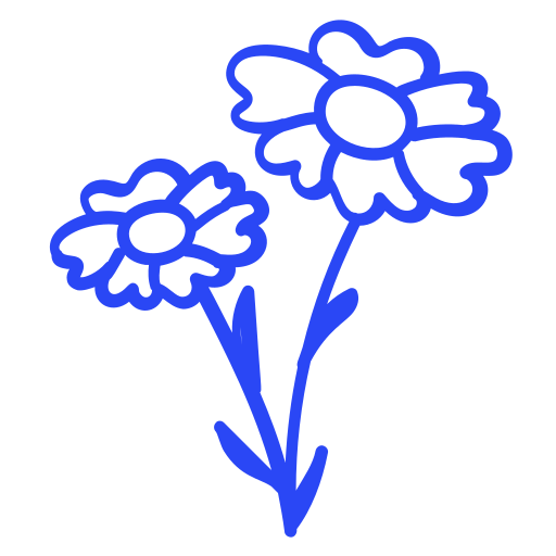 ccompagnement Cancer naturopathe Lyon